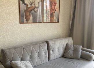 Сдам 2-ком. квартиру, 40 м2, Сочи, Пасечная улица, 47