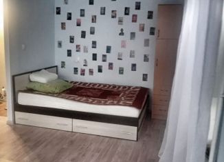 1-комнатная квартира в аренду, 29.3 м2, Рубцовск, проспект Ленина, 41