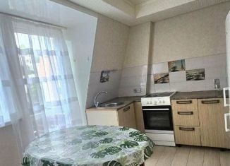 Аренда 2-комнатной квартиры, 46 м2, Сочи, Яблочная улица, 2А