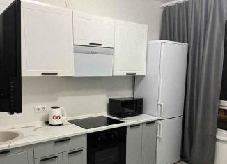 Аренда 1-комнатной квартиры, 40 м2, Москва, Амурская улица, 1к1