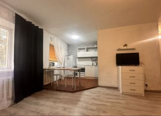 Сдам квартиру студию, 33 м2, Карелия, Пушкинская улица, 13