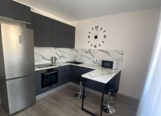 Сдача в аренду 1-комнатной квартиры, 34 м2, Краснодар, Скандинавская улица, 1к2