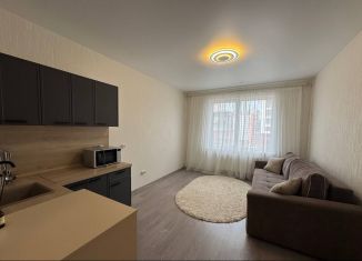 Сдам в аренду 1-ком. квартиру, 33 м2, Пермский край, Сапфирная улица