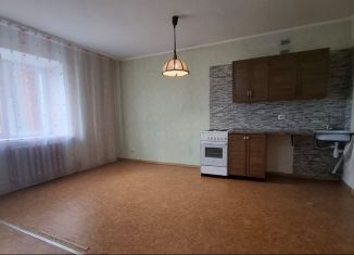 Сдача в аренду однокомнатной квартиры, 40.6 м2, Омская область, улица Дмитриева, 20