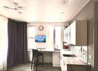 Сдача в аренду квартиры студии, 30 м2, Московский, Солнечная улица, 3Ас3