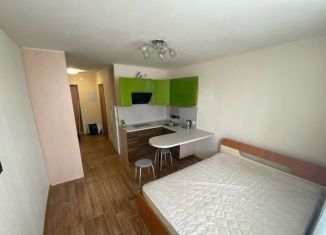 Сдается квартира студия, 23 м2, Екатеринбург, ЖК Тихий Берег-2, Рощинская улица, 31