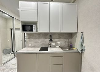 Сдача в аренду квартиры студии, 21 м2, Сочи, Санаторная улица, 53В