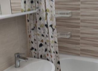 Сдам в аренду квартиру студию, 25 м2, Ростов-на-Дону, проспект Ленина, 15