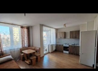 Сдаю однокомнатную квартиру, 40 м2, Екатеринбург, Техническая улица, 149А