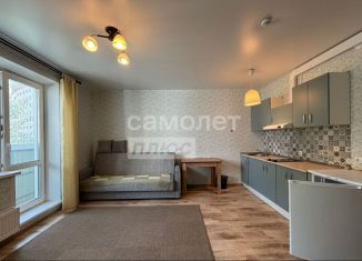 Сдам в аренду квартиру студию, 24 м2, Пермь, улица Гашкова, 59