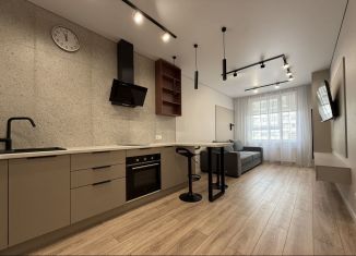 Сдаю 2-ком. квартиру, 46.3 м2, Екатеринбург, улица Шаумяна, 30, ЖК Южные Кварталы