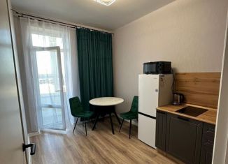 Сдается в аренду 1-комнатная квартира, 30 м2, Краснодар, Воронежская улица, 47/14