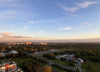 Сдаю квартиру студию, 25 м2, Санкт-Петербург, Советский проспект, 36к2, ЖК Невские Паруса