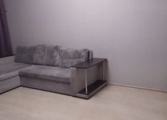 1-ком. квартира в аренду, 40 м2, посёлок Берёзовый, посёлок Берёзовый, 7/37к3