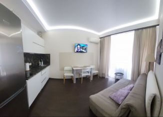 Сдается в аренду двухкомнатная квартира, 35 м2, Краснодарский край, Цветочная улица, 44/3