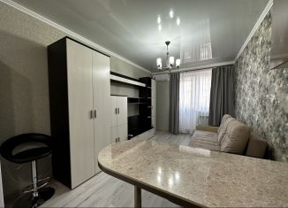 Сдам в аренду квартиру студию, 26 м2, Ростов-на-Дону, улица Пацаева, 20Б, ЖК Звёздный