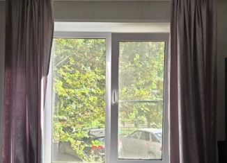 Сдам в аренду квартиру студию, 18 м2, Челябинск, улица Куйбышева, 65А, Курчатовский район