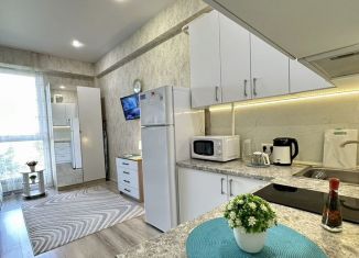 Сдача в аренду квартиры студии, 23 м2, Сочи, Санаторная улица, 46