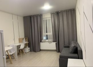 Сдаю в аренду 1-комнатную квартиру, 43 м2, Екатеринбург, Московская улица, 192