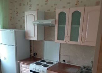 Сдается в аренду однокомнатная квартира, 35 м2, Новосибирск, улица Сакко и Ванцетти, 44, Октябрьский район