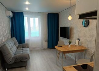 Сдаю в аренду квартиру студию, 25 м2, Республика Башкортостан, улица Лётчика Кобелева, 1