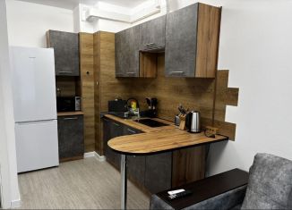 Сдается в аренду однокомнатная квартира, 33.9 м2, Северодвинск, Беломорский проспект, 3Ак1