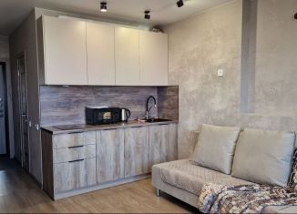 Сдача в аренду квартиры студии, 25 м2, Саратов, 2-й Совхозный проезд, 36к1