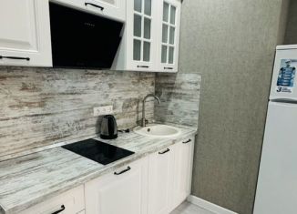 Сдаю в аренду квартиру студию, 27 м2, Ростов-на-Дону, Гарнизонный переулок, 1А