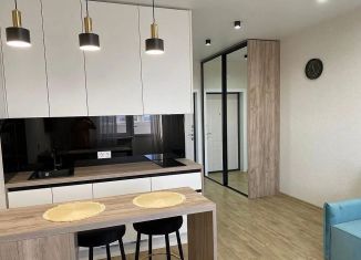 Сдам квартиру студию, 30 м2, Ростов-на-Дону, улица Мечникова, 41/53