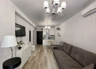 Сдаю квартиру студию, 30 м2, Сочи, переулок Горького, 24к1