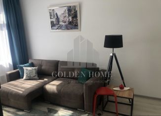 Сдам 1-ком. квартиру, 34 м2, Санкт-Петербург, улица Александра Матросова, 1, метро Петроградская