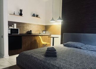 Сдаю в аренду квартиру студию, 27 м2, Ростов-на-Дону, Батуринская улица, 157/31