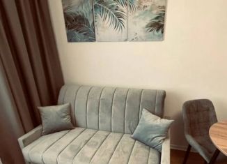 Аренда квартиры студии, 25 м2, Томск, улица Набережная Озера, 22