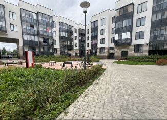 Сдается квартира студия, 25 м2, Санкт-Петербург, Новосергиевская улица, метро Юго-Западная