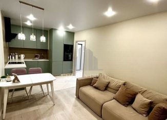 Сдается в аренду 1-ком. квартира, 48.8 м2, Санкт-Петербург, Днепропетровская улица, 37, Центральный район