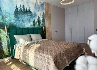 Сдам 1-комнатную квартиру, 50 м2, Республика Башкортостан, улица Рудольфа Нуреева, 5