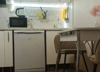 Сдам в аренду квартиру студию, 30 м2, село Засечное, Олимпийская улица, 6