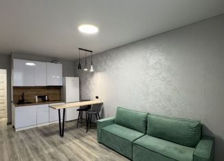 Сдается квартира студия, 30 м2, Краснодар, Ярославская улица, 115к2