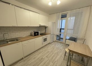 Сдается 1-ком. квартира, 42 м2, Екатеринбург, улица Блюхера, 42