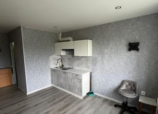 Аренда 1-комнатной квартиры, 18.4 м2, Липецк, улица Вермишева, 18/1