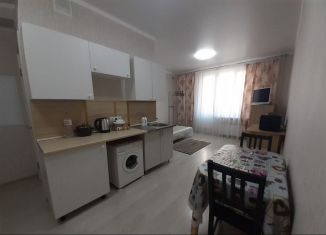 Квартира в аренду студия, 26 м2, Ростов-на-Дону, ЖК Французский Квартал, проспект Маршала Жукова, 23/1