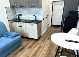 Аренда квартиры студии, 18 м2, Сочи, Ясногорская улица, 16/2к5