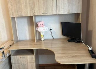 Однокомнатная квартира в аренду, 26.5 м2, Пермь, улица Веры Засулич, 44