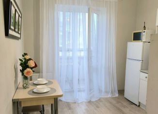 1-ком. квартира в аренду, 42 м2, Ростов-на-Дону, улица Ерёменко, 112, ЖК Пятый Элемент