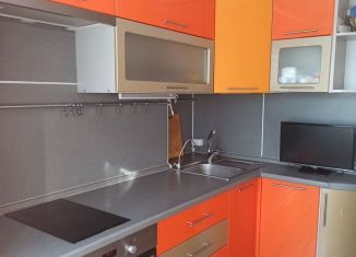 Сдается в аренду двухкомнатная квартира, 49 м2, Новосибирск, улица Бориса Богаткова, 202, Октябрьский район