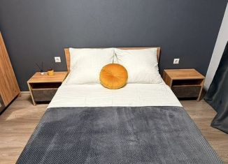 Сдам в аренду 1-ком. квартиру, 44 м2, Краснодар, Скандинавская улица