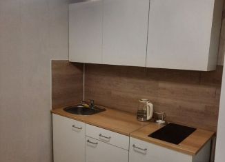 Двухкомнатная квартира в аренду, 49.4 м2, Новокузнецк, улица Рокоссовского, 29Г