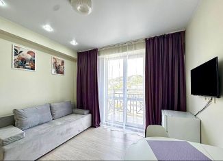 Квартира в аренду студия, 30 м2, Сочи, улица Тимирязева, 34Бк1