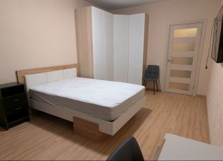 Сдам 1-ком. квартиру, 47.2 м2, Санкт-Петербург, улица Есенина, 1к1, метро Проспект Просвещения