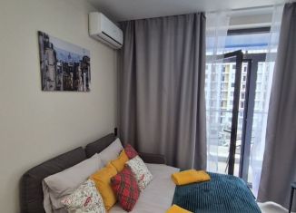 Сдача в аренду квартиры студии, 18 м2, Сочи, Ясногорская улица, 16/2к7